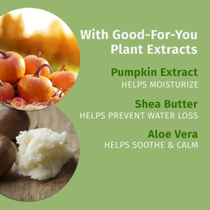 Hempz Lip Balm Spiced Pumpkin Pie | 0.44 fl oz / 13 mL