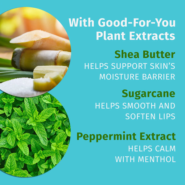 Hempz Lip Balm Crushed Peppermint Sugar | 0.44 fl oz / 13 mL