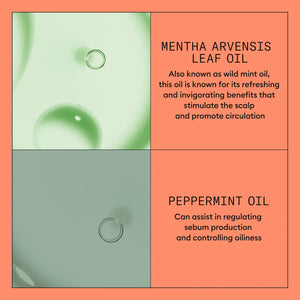Nioxin Scalp+ Hair System 4 Kit