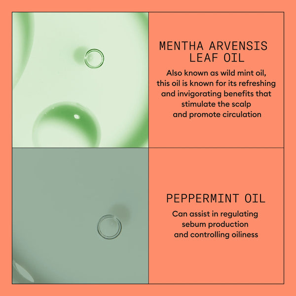 Nioxin Scalp+ Hair System 4 Kit