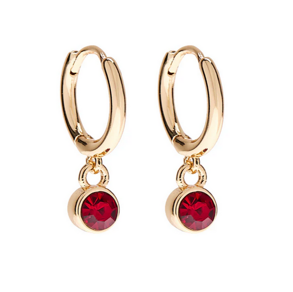 January Birthstone Earrings - Gold