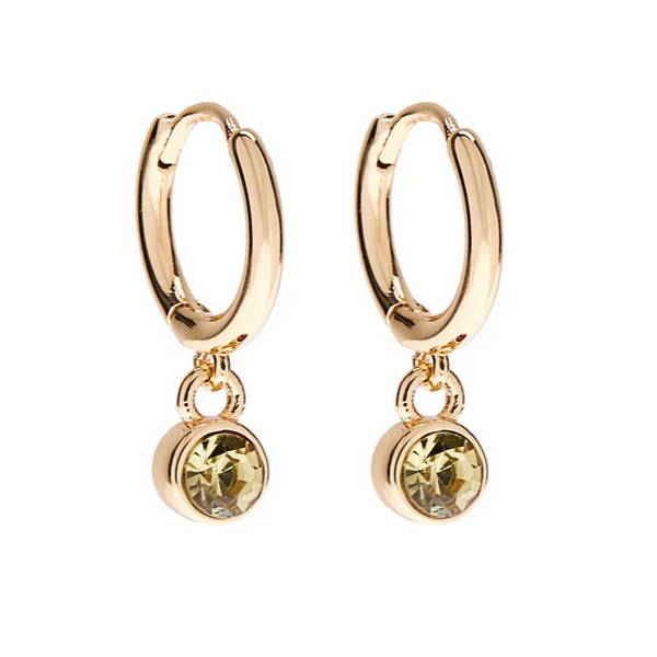 November Birthstone Earrings - Gold