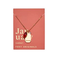 January Birthstone Necklace - Gold
