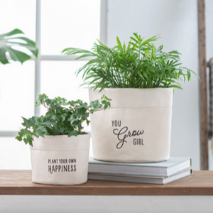 Spring Decor - Canvas Plant Cover Small