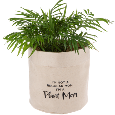 Spring Decor - Canvas Plant Cover Large