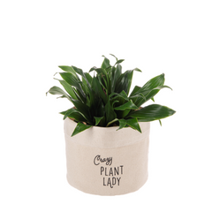 Spring Decor - Canvas Plant Cover Small