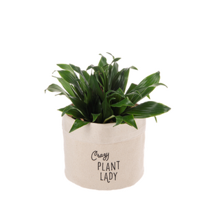 Spring Decor - Canvas Plant Cover Small