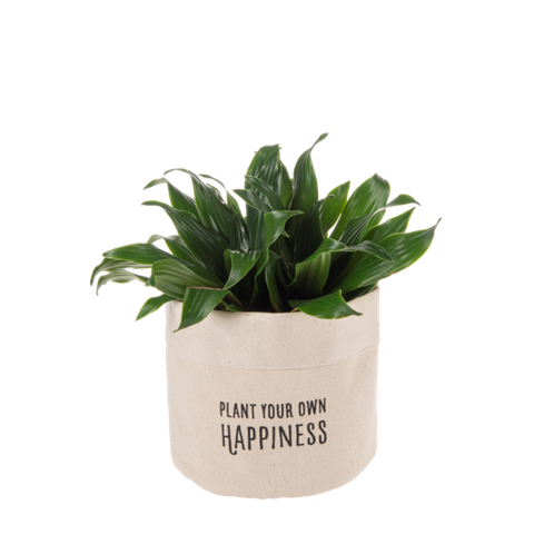 Spring Decor - Canvas Plant Cover Small